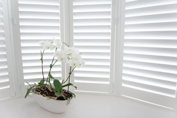 Shutter Installation Services
